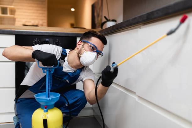 Best Pest Removal Services  in Macon, GA