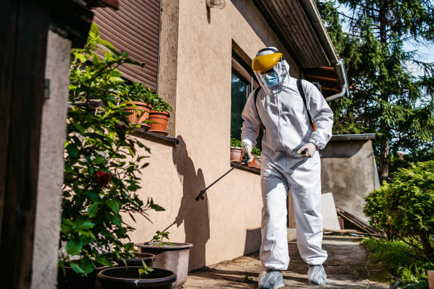 Best Bed Bug Extermination  in Macon, GA