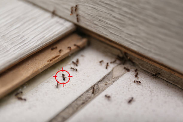 Pest Control for Restaurants in Macon, GA
