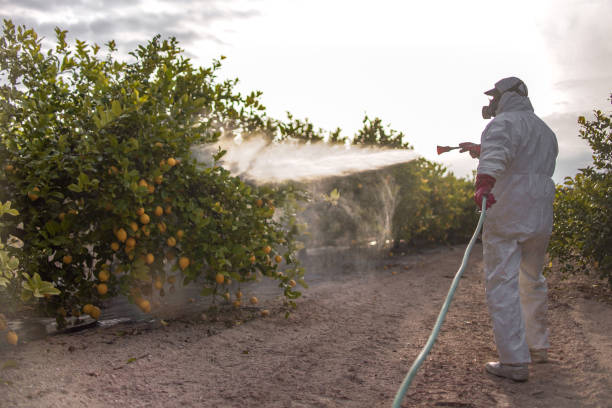 Best Residential Pest Control  in Macon, GA
