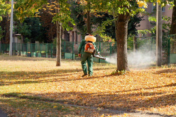 Best Affordable Pest Control Services  in Macon, GA