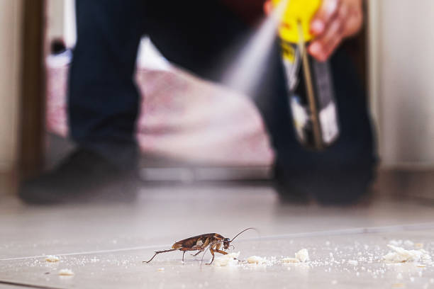 Best Cockroach Control Services  in Macon, GA